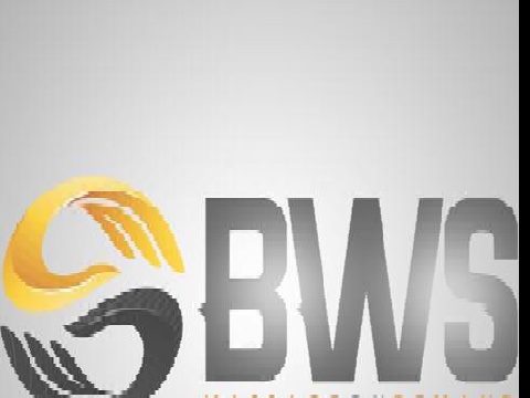 BWS Massage On Demand, LLC